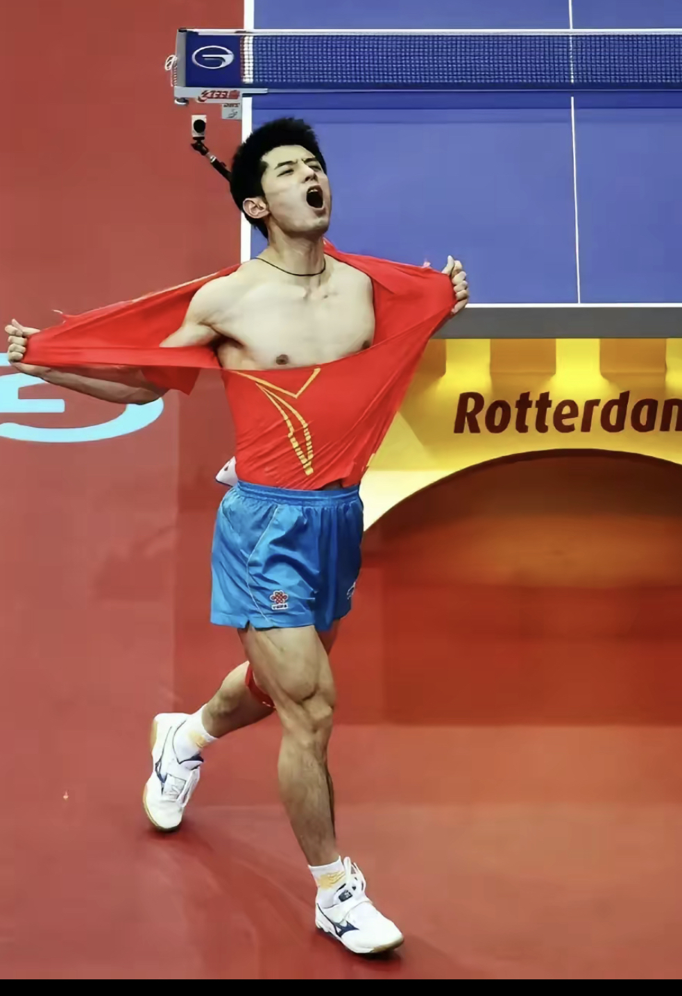 关于中国乒乓球队横扫德国乒乓球队,张继科惊艳世界的信息 关于中国乒乓球队横扫德国乒乓球队,张继科惊艳世界的信息