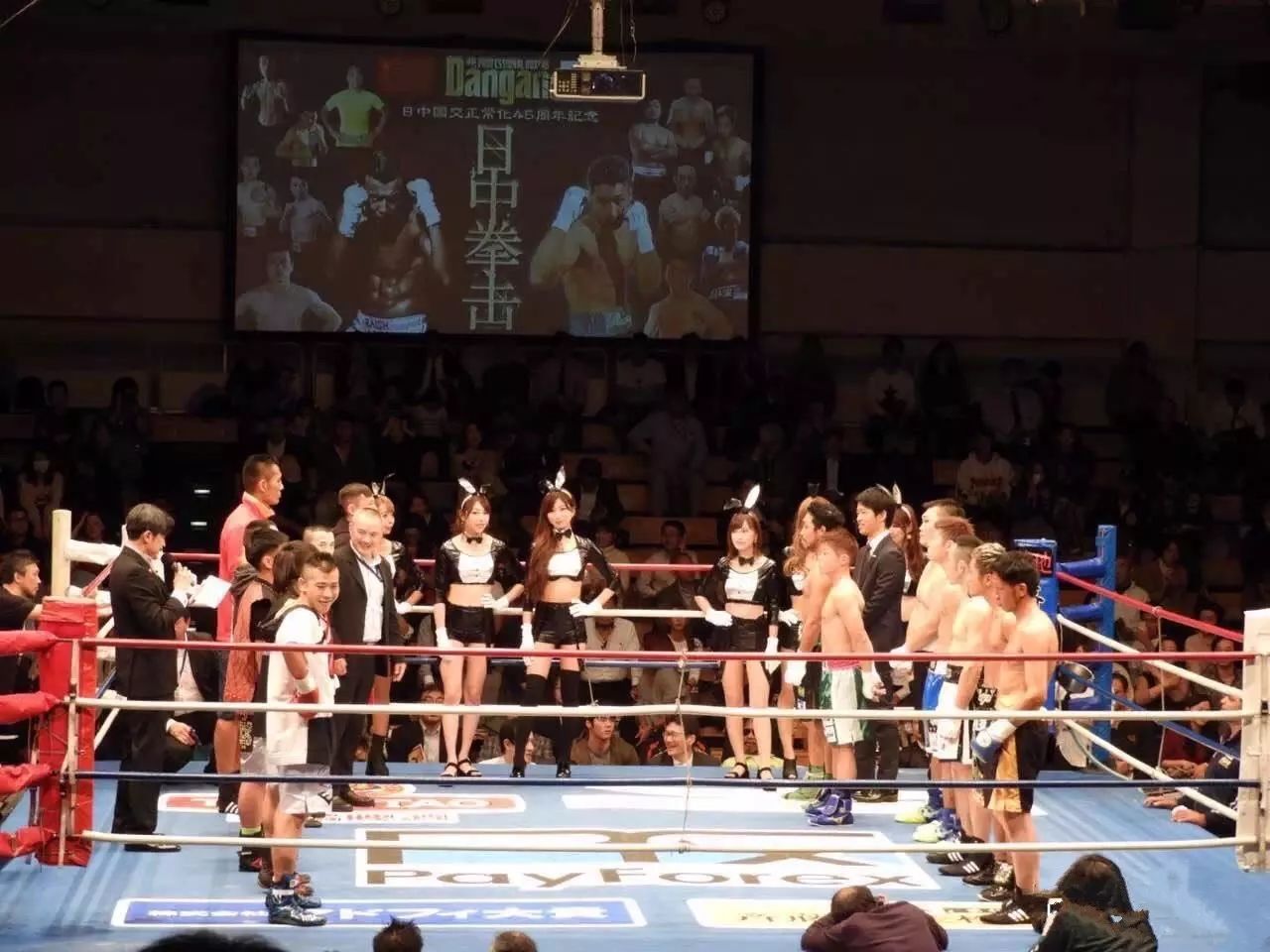 终极对抗!拳击战火再次点燃 终极对抗!拳击战火再次点燃