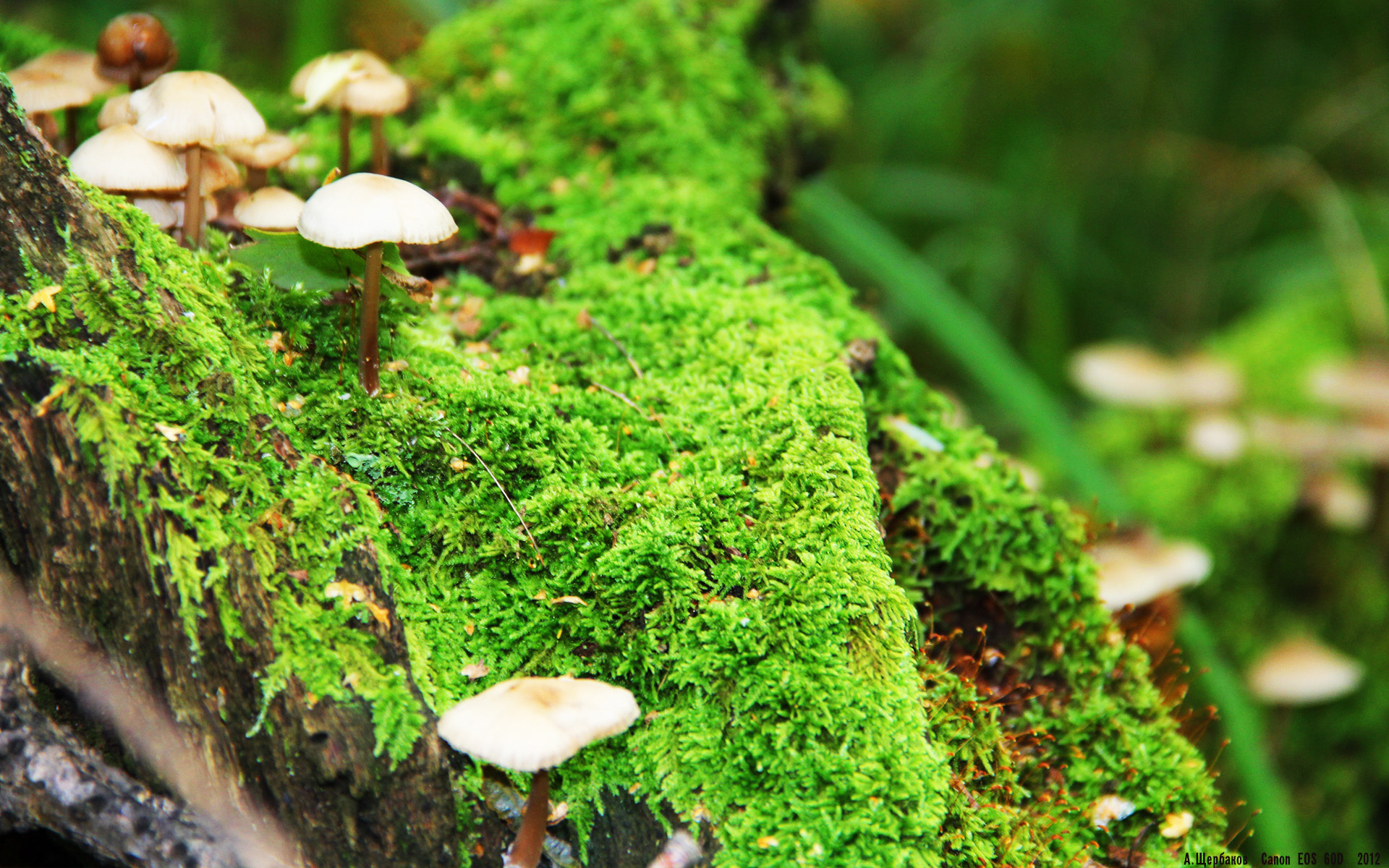 逆转时刻,奥恰洛夫关键制胜,助力中国队翻盘日本队