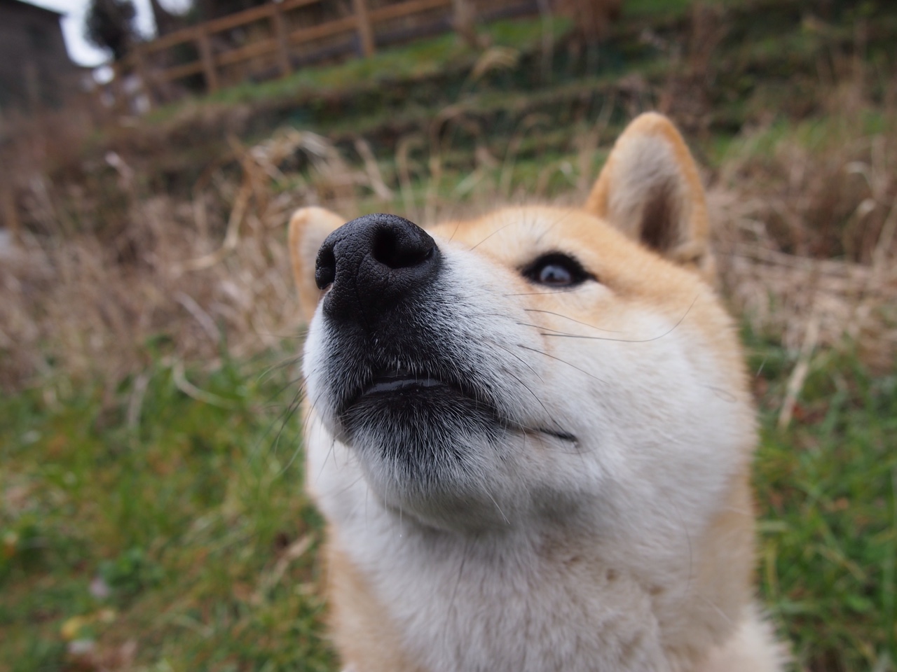 唯一性的见证，塞维利亚绝杀阿根廷与姆巴佩的闪耀时刻
