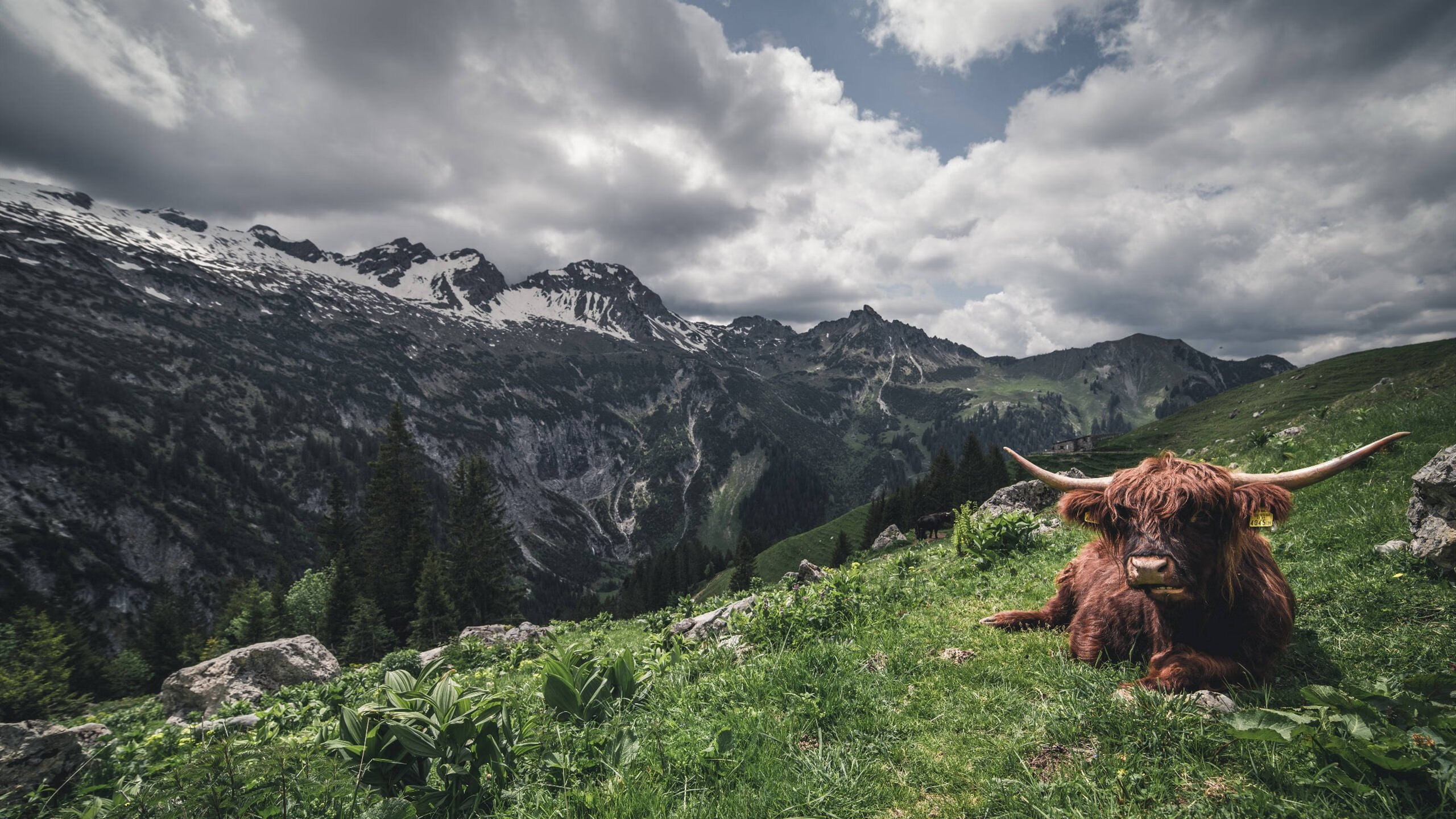 大场面基因，当F1收官战的极限操控，遇见德布劳内的致命一传