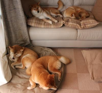 加冕之战，深圳绝杀王朝的180秒