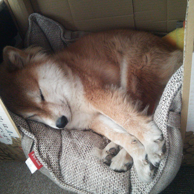 爱游戏APP-撕裂之城的新图腾，拉文以一己之力改写骑士命运