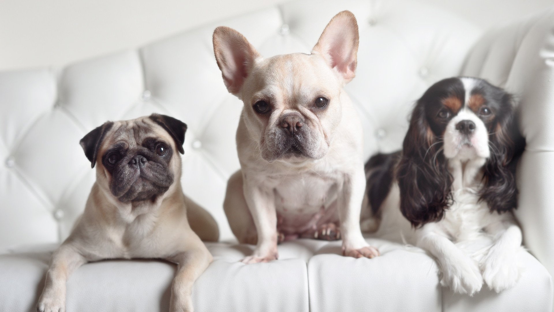 爱游戏官方-天平倾斜的一秒，霍勒迪的救赎终结掘金王朝