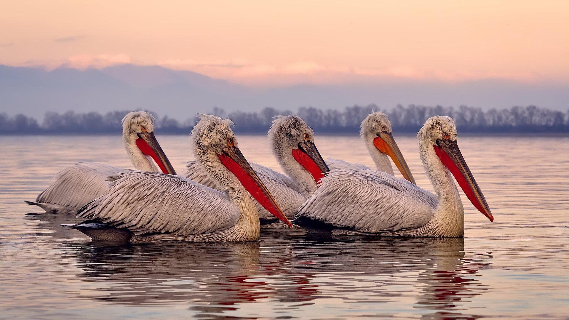 37岁的国王与22岁的铁骑，当爆冷成为骑士归来的注脚