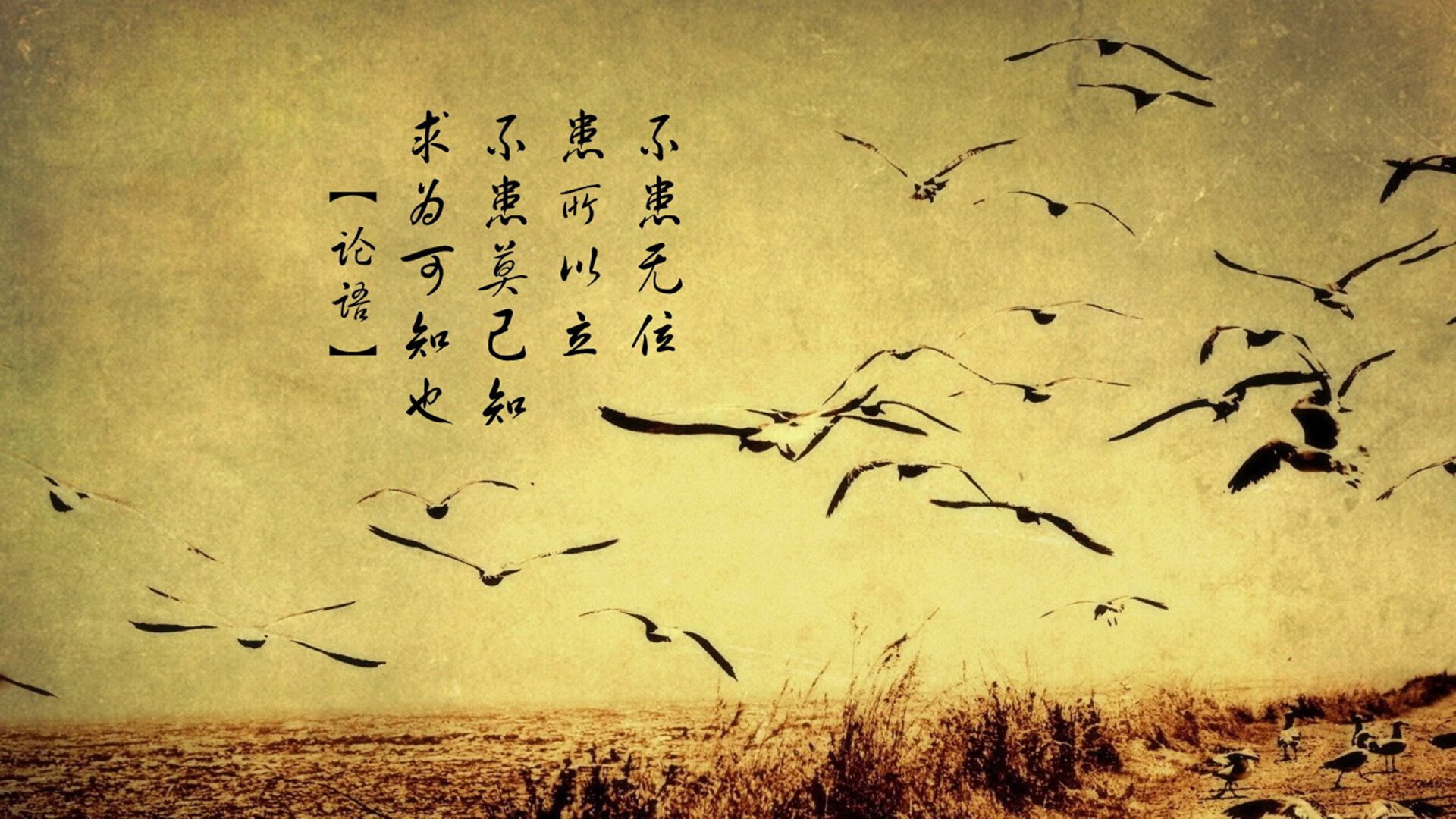 战术交响乐与即兴独奏,当乌拉圭的钢铁合奏遇上内马尔的灵光一现